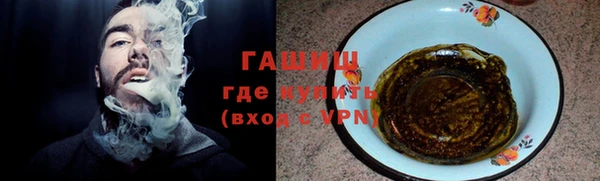 индика Алзамай