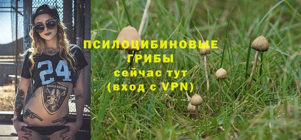 стаф Алексин