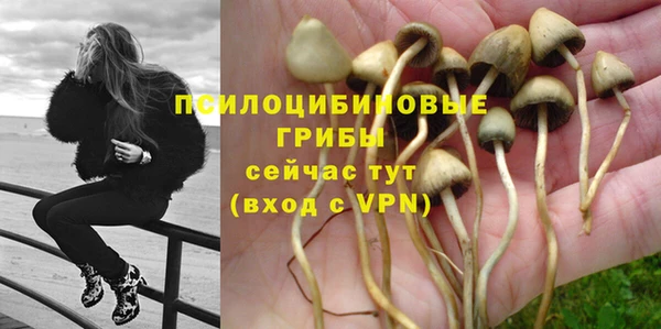 марихуана Абаза